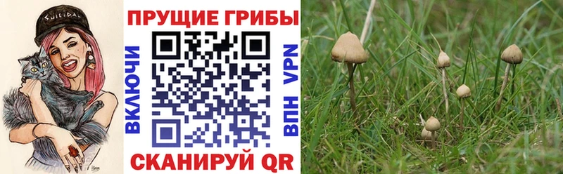 где купить наркоту  Альметьевск  Псилоцибиновые грибы MAGIC MUSHROOMS 